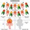 Ganesh Chathurti Banners Indian Festival Ganpati Bappa Morya Bunting Diy Home Temple Indoor Outdoor Decoration Bollywood Party Supplies Ganesha Puja Decor Ideas